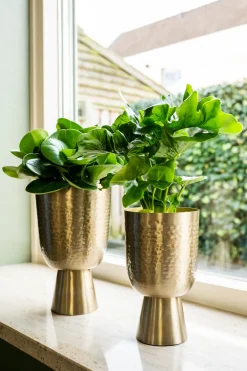 New TS Blumentopf mit Fuß Lauren gold D 15 H 24 cm Blumentöpfe|Blumentöpfe & Pflanzgefäße