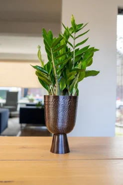 TS Blumentopf mit Fuß Lauren grau D 18 H 28 cm Blumentöpfe|Blumentöpfe & Pflanzgefäße