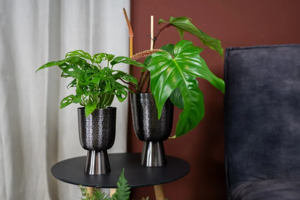 Online TS Blumentopf mit Fuß Lauren grau D 15 H 24 cm Blumentöpfe|Blumentöpfe & Pflanzgefäße