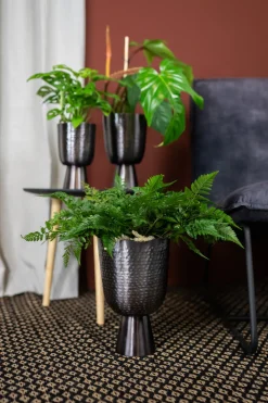 Online TS Blumentopf mit Fuß Lauren grau D 15 H 24 cm Blumentöpfe|Blumentöpfe & Pflanzgefäße