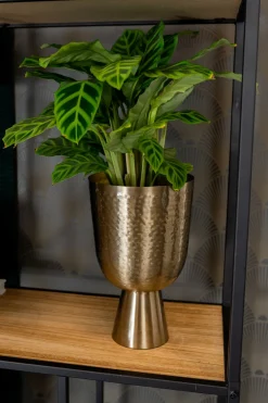 TS Blumentopf mit Fuß Lauren gold D 18 H 28 cm Blumentöpfe & Pflanzgefäße|Blumentöpfe