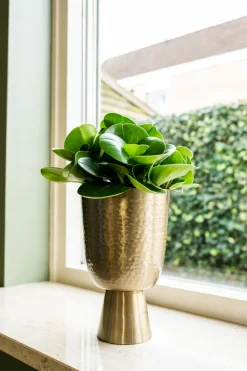 TS Blumentopf mit Fuß Lauren gold D 18 H 28 cm Blumentöpfe & Pflanzgefäße|Blumentöpfe