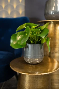 Best TS Blumentopf Ninthe grau D 23 H 21 cm Blumentöpfe|Blumentöpfe & Pflanzgefäße