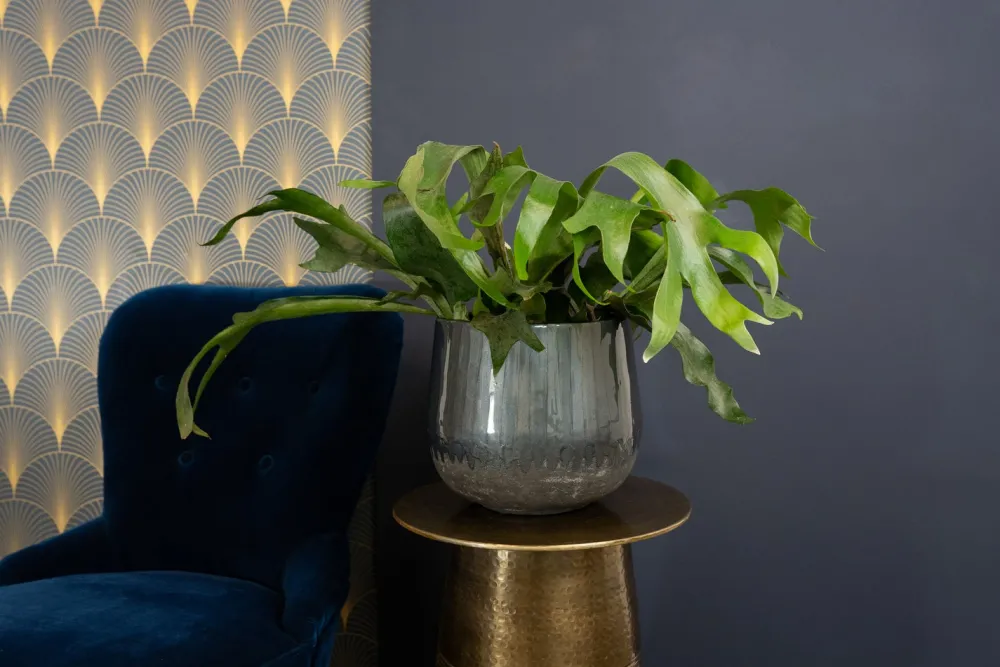 Discount TS Blumentopf Ninthe grau D 29 H 25 cm Blumentöpfe & Pflanzgefäße|Blumentöpfe