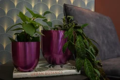 Online TS Blumentopf Nori D 8 H 7 cm violett Blumentöpfe|Blumentöpfe & Pflanzgefäße