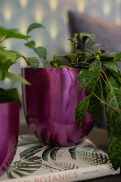 Online TS Blumentopf Nori D 8 H 7 cm violett Blumentöpfe|Blumentöpfe & Pflanzgefäße