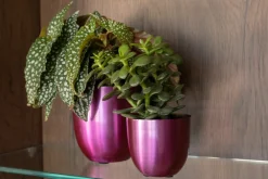 Outlet TS Blumentopf Nori D 17 H 16 cm violett Blumentöpfe|Blumentöpfe & Pflanzgefäße