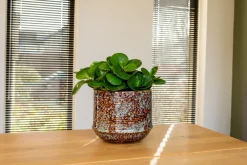 Clearance TS Blumentopf Noud braun / mint D 14 H 13 cm Blumentöpfe & Pflanzgefäße|Blumentöpfe