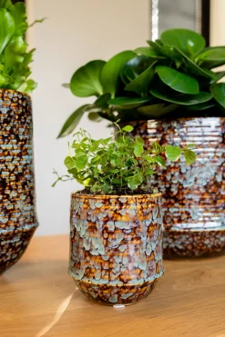 Online TS Blumentopf Noud braun / mint D 7 H 8 cm Blumentöpfe|Blumentöpfe & Pflanzgefäße