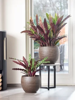 Clearance TS Blumentopf Owen D 28 cm H 25 cm braun Blumentöpfe|Blumentöpfe & Pflanzgefäße