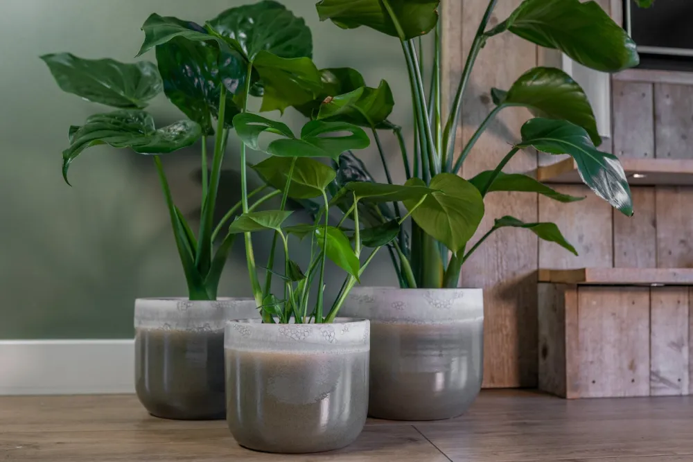 Sale TS Blumentopf Tara grün / grau D 15 H 13 cm Blumentöpfe|Blumentöpfe & Pflanzgefäße