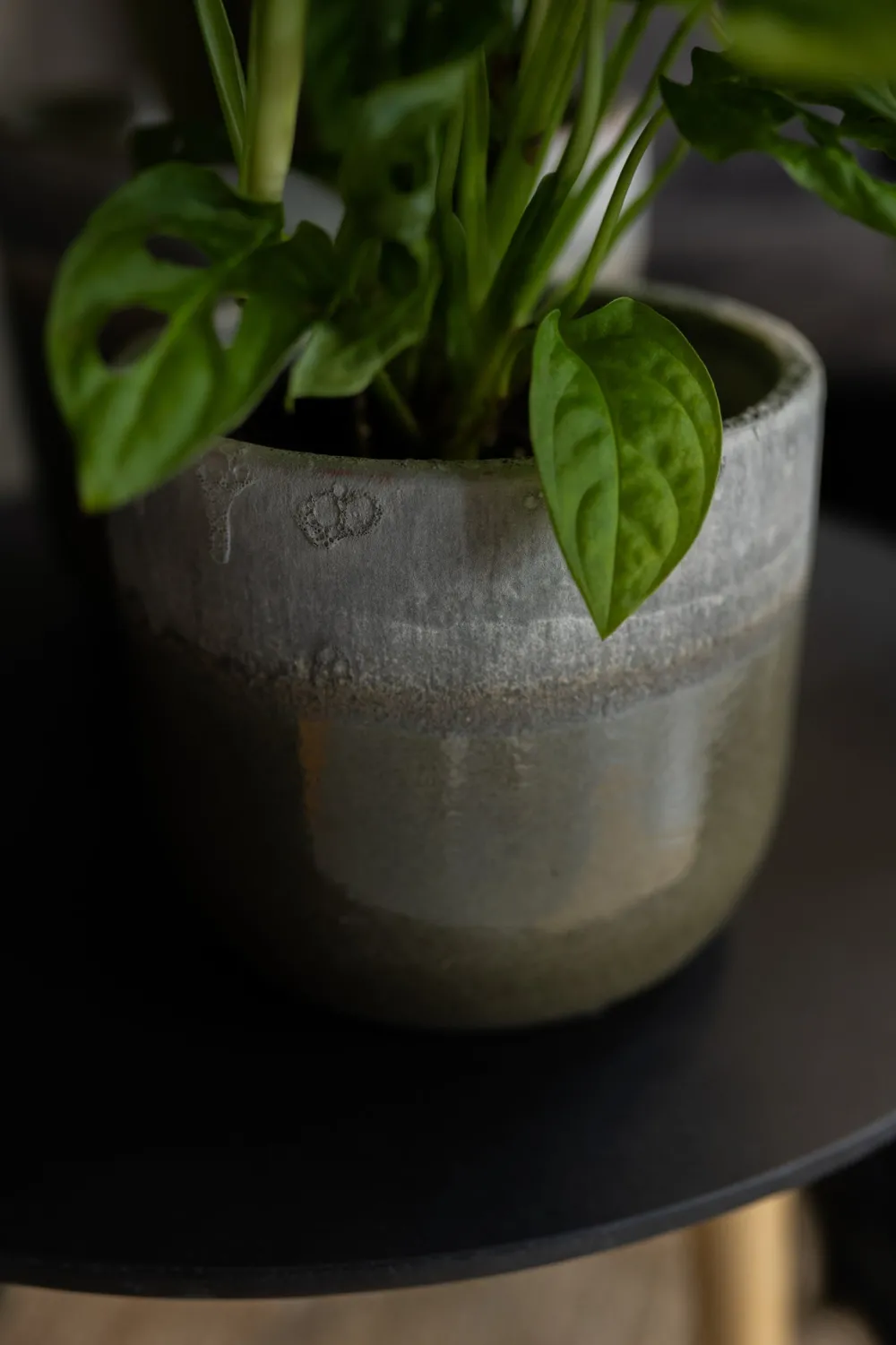 Sale TS Blumentopf Tara grün / grau D 15 H 13 cm Blumentöpfe|Blumentöpfe & Pflanzgefäße