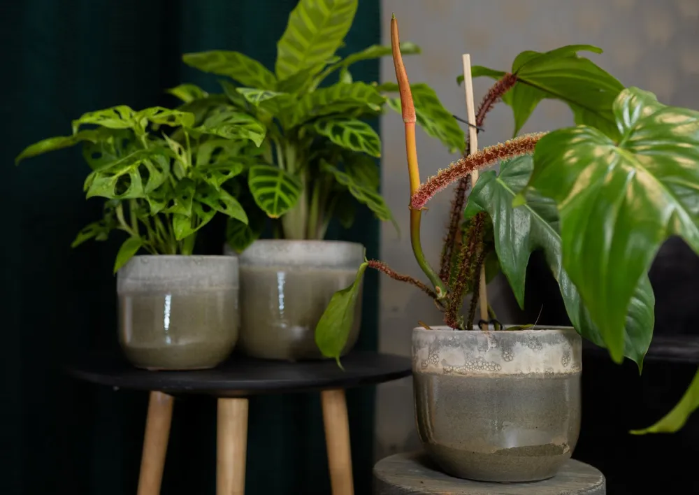 Sale TS Blumentopf Tara grün / grau D 15 H 13 cm Blumentöpfe|Blumentöpfe & Pflanzgefäße