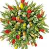 Discount Tulpenmix 10 St. 40cm Frühlings-Blüher|Blumenzwiebeln