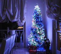 Outlet Twinkly Lichterkette mit App 105 LEDs bunt 13 m Weihnachtsbaumbeleuchtung