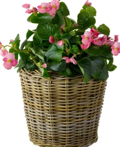 Clearance Van der Leeden Pflanzkorb hoch mit Henkeln D 45 cm H 40 cm Pflanzkörbe|Blumentöpfe & Pflanzgefäße