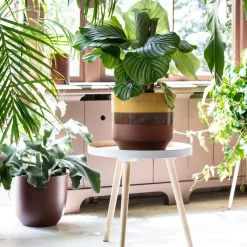 Hot WOOOD Beistelltisch Sasha weiß D 41 H 41 cm Beistelltische|Beistelltische